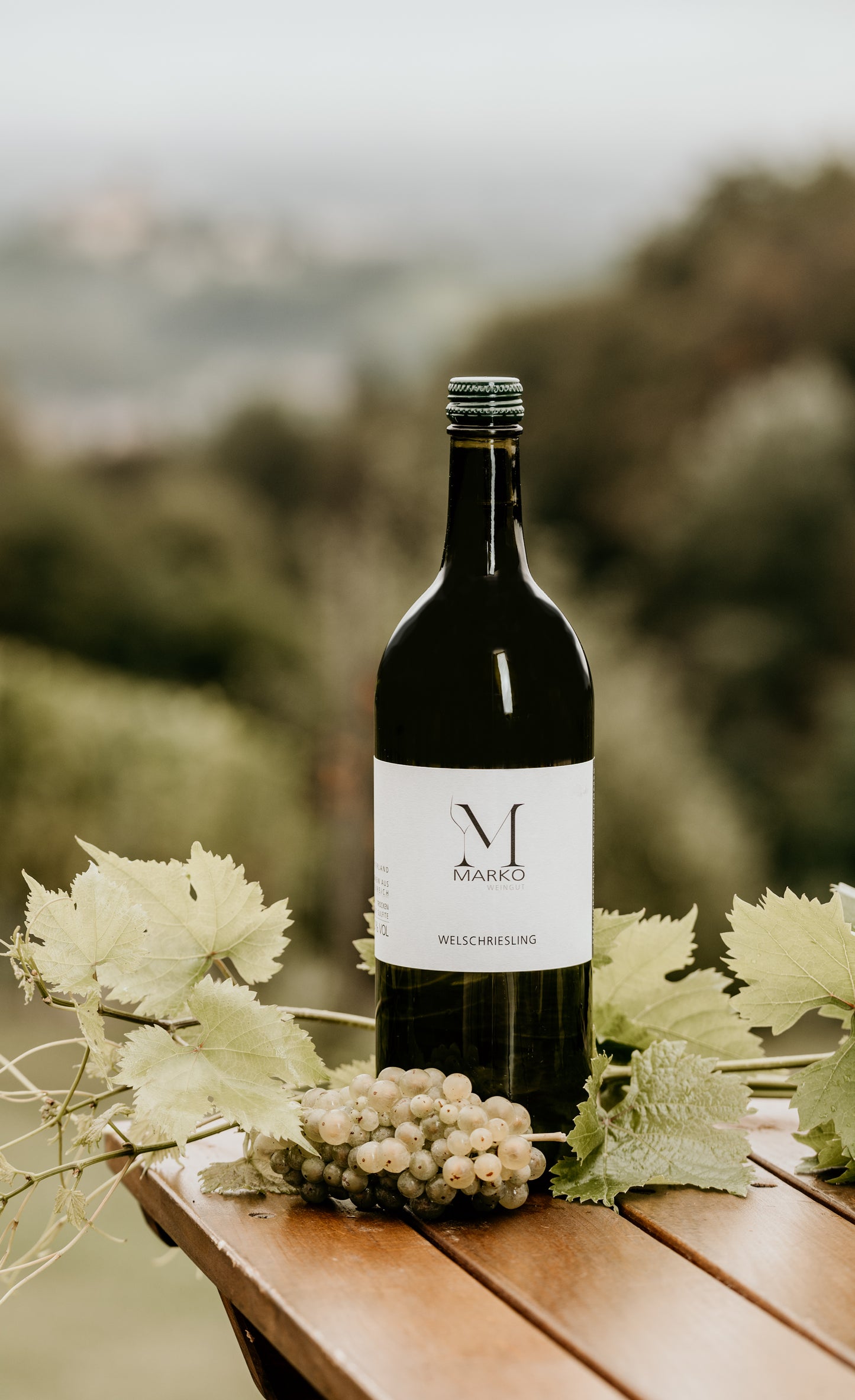 Landwein / Welschriesling