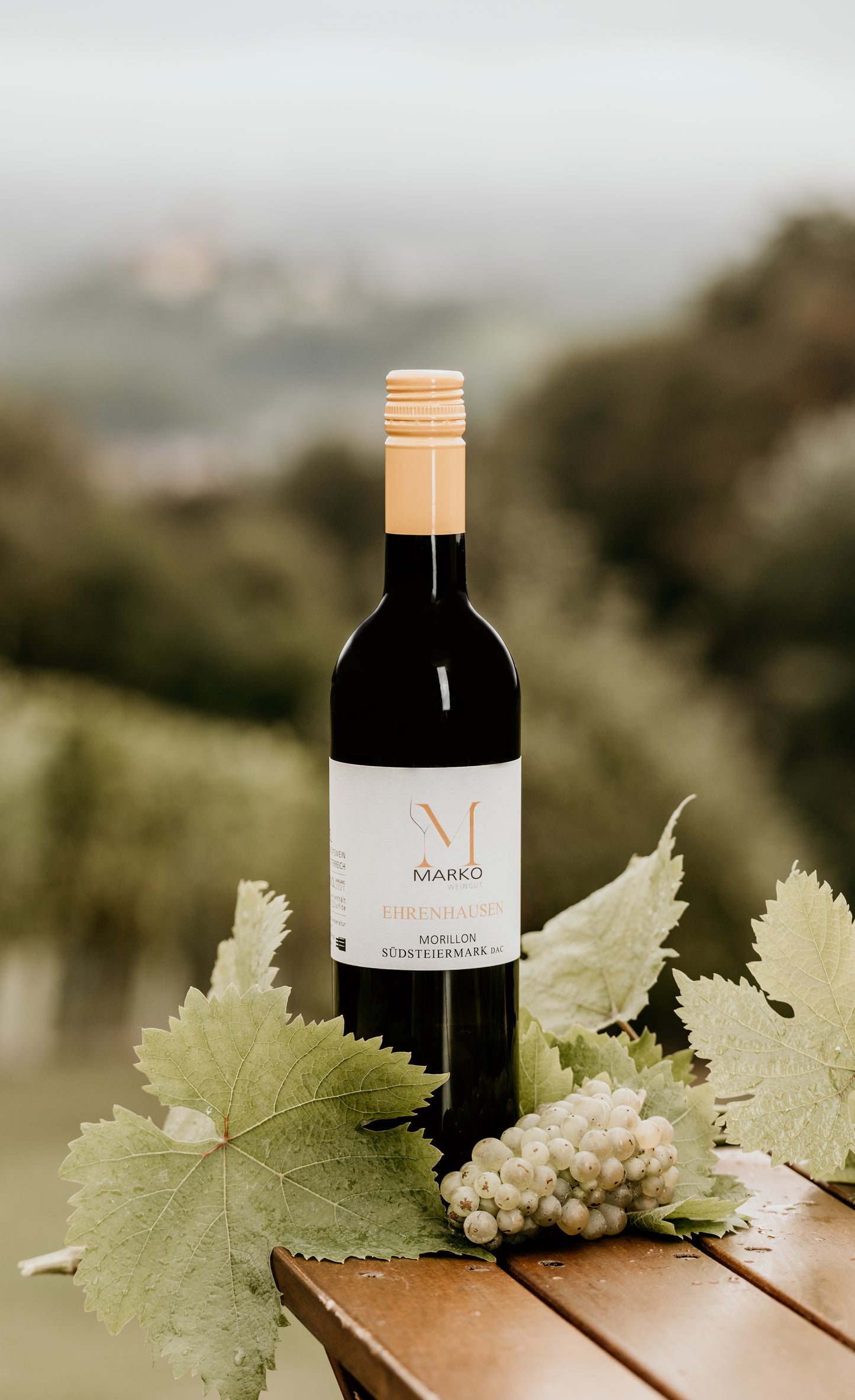 Morillon EHRENHAUSEN Südsteiermark DAC 2022
