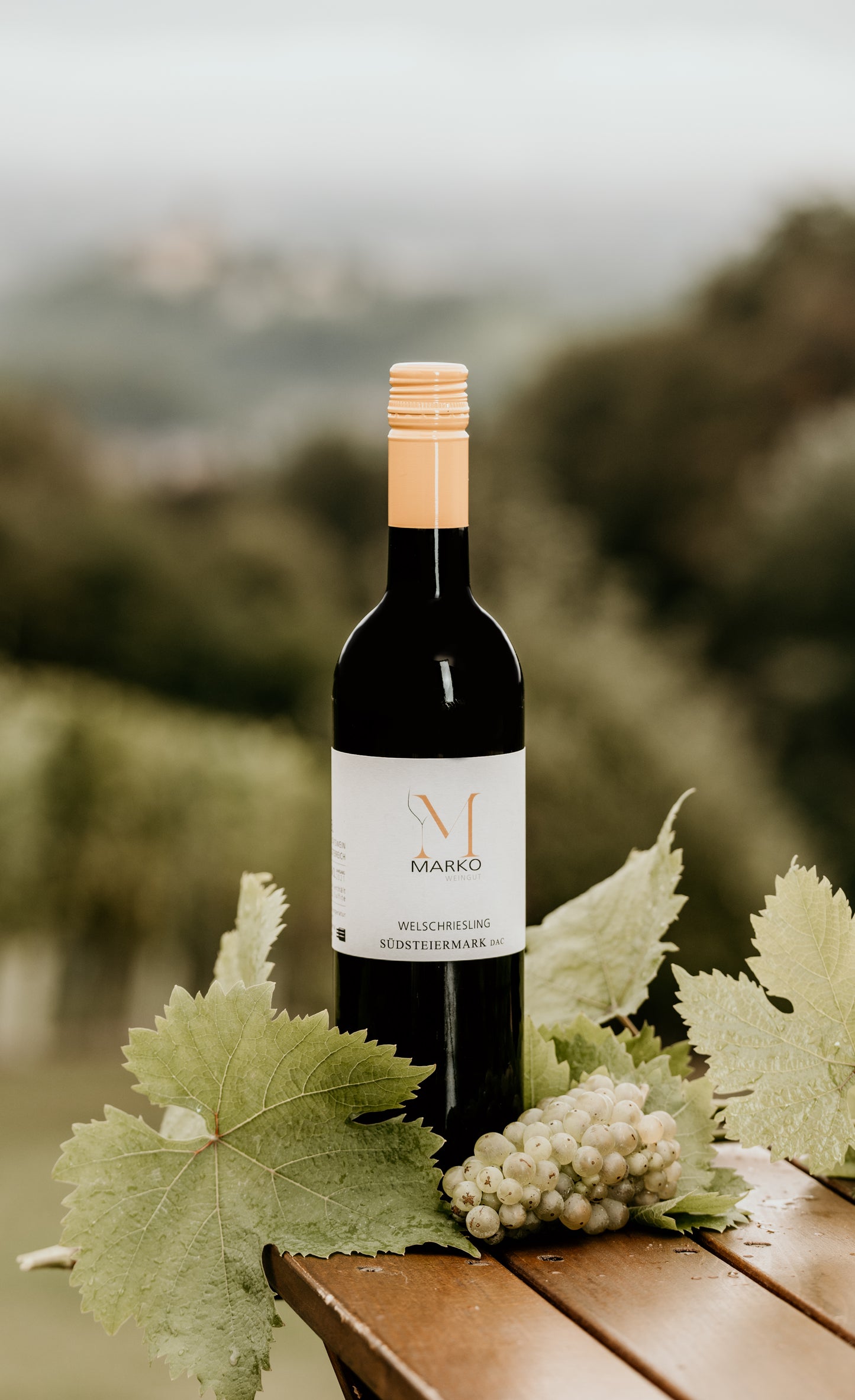 Welschriesling Südsteiermark DAC 2024