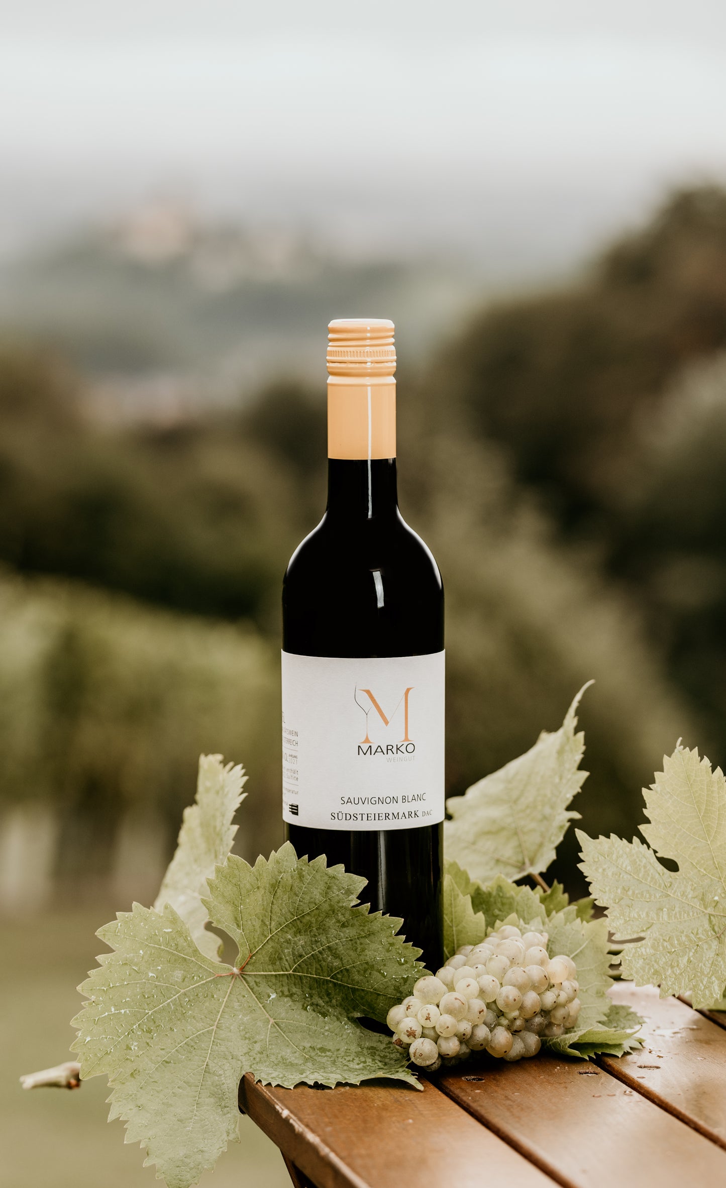 Sauvignon blanc Südsteiermark DAC 2024