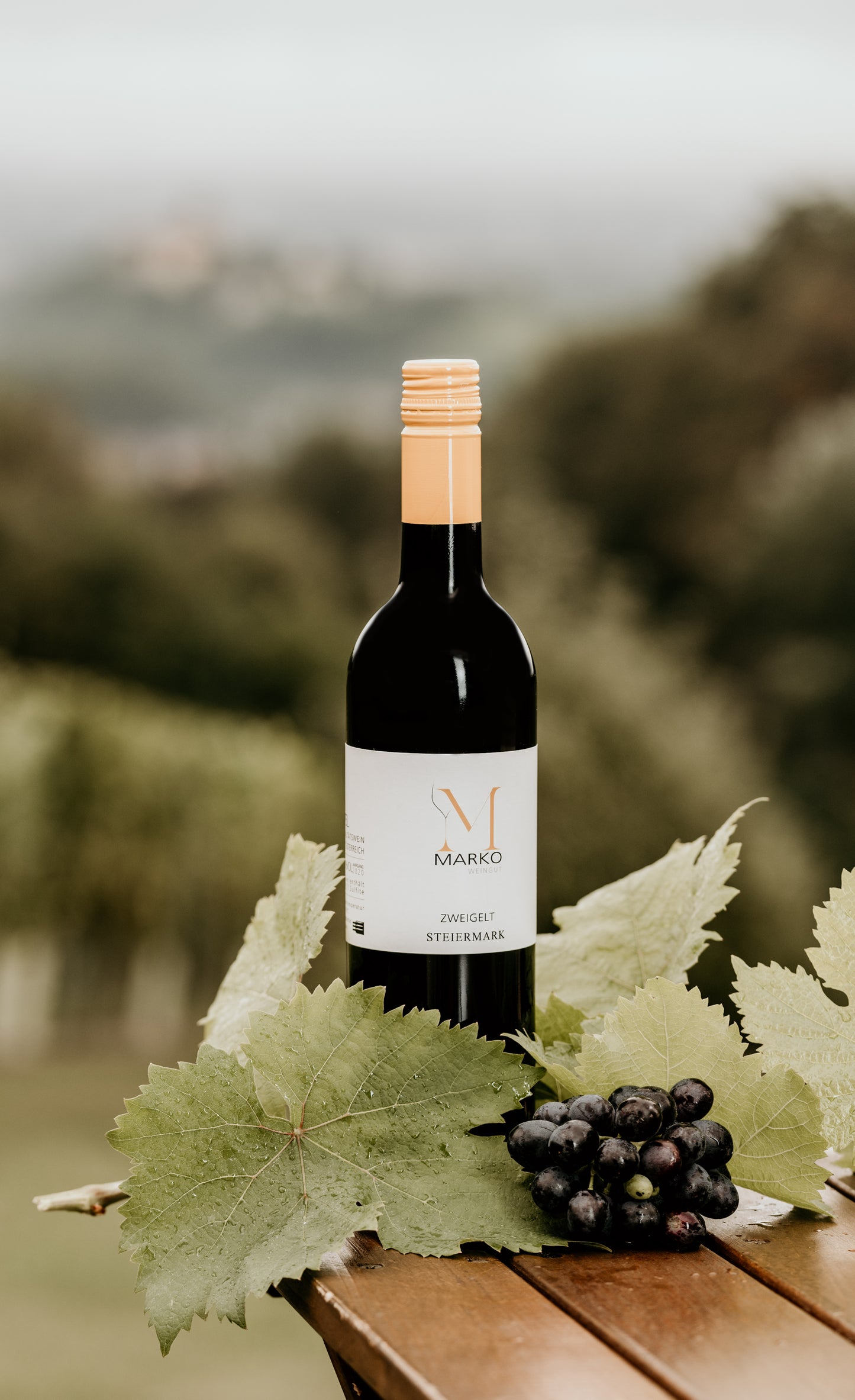 Blauer Zweigelt Privat 2021